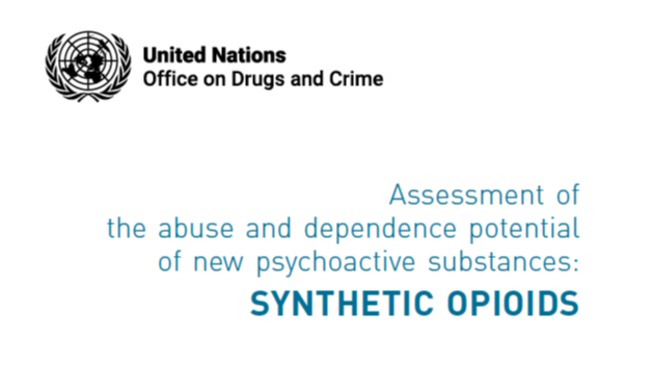 Domestic principles of drug assessment adopted for int'l use