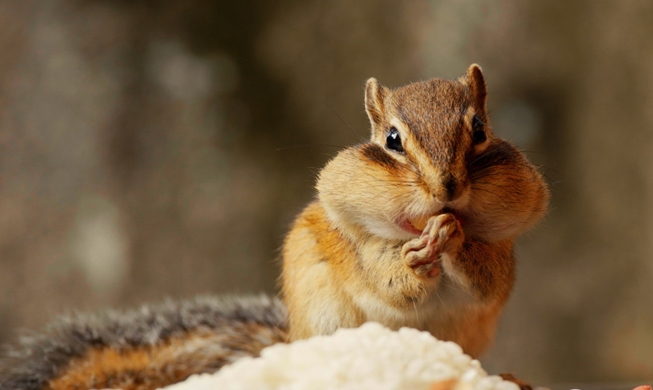 Nation's beautiful nature parks come to life in 'No Boundaries'