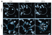 Two scientific breakthroughs come to light