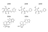 New plant compounds become pest control