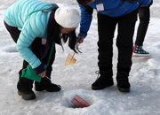 Hwacheon Sancheoneo (Mountain Trout) Ice Festival 