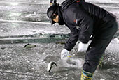 Long-awaited ice fishing returns to Hwacheon