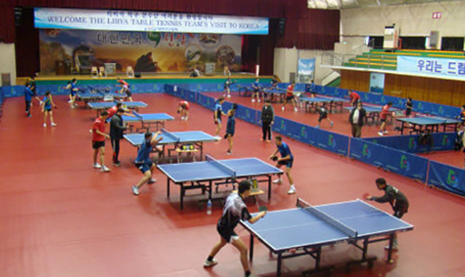 Korea, Libya continue friendship through table tennis