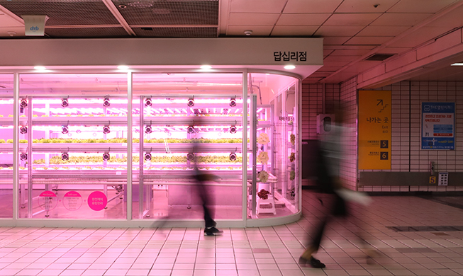 Smart farms, AR, DVD-book center liven up Seoul subway stations