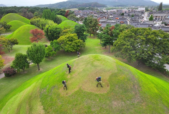 Trimming grass of royal tomb ahead of Chuseok