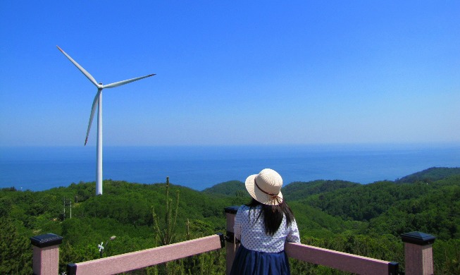 My healing and relaxing trip through Yeongdeok Blue Road