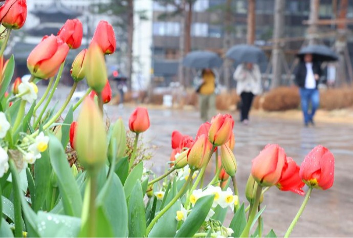 Rain two days before spring equinox