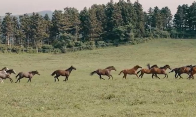 Seoul display, park pony up zodiac hype in Year of the Horse