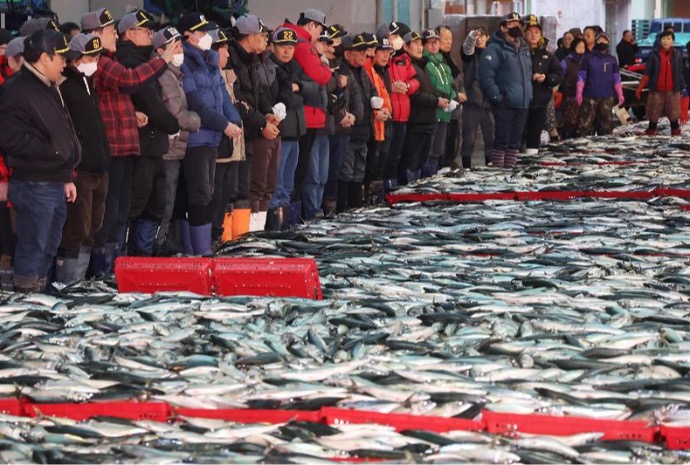 Mackerel auction on first day of 2025 at seafood market