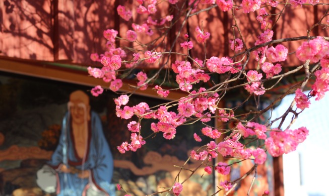 Seoul's Bongeunsa Temple welcomes spring