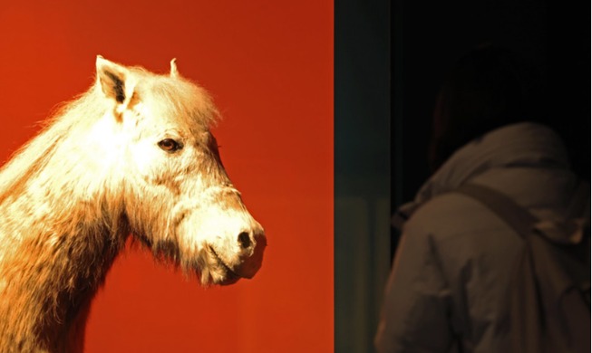 The Famous Feast of the Horse