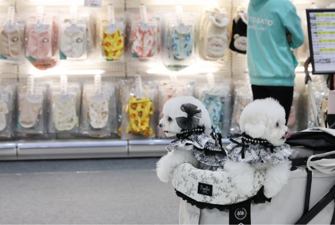 Happy shopping time with puppies 