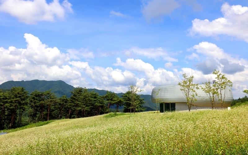 Baekdudaegan Global Seed Vault is located in Bonghwa-gun County, Gyeongsangbuk-do Province. (Arboreta and Gardens Institute)